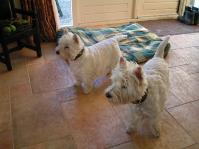 Klik op de foto voor groter formaat